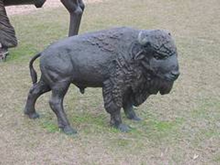 cast aluminum buffalo