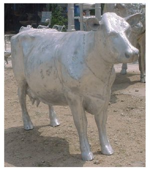 cast cow