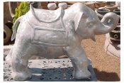 circus elephant